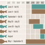 Kenai, Alaska Fishing Calendar And The Best Months To Fish | Fishing Calendar For June 2025