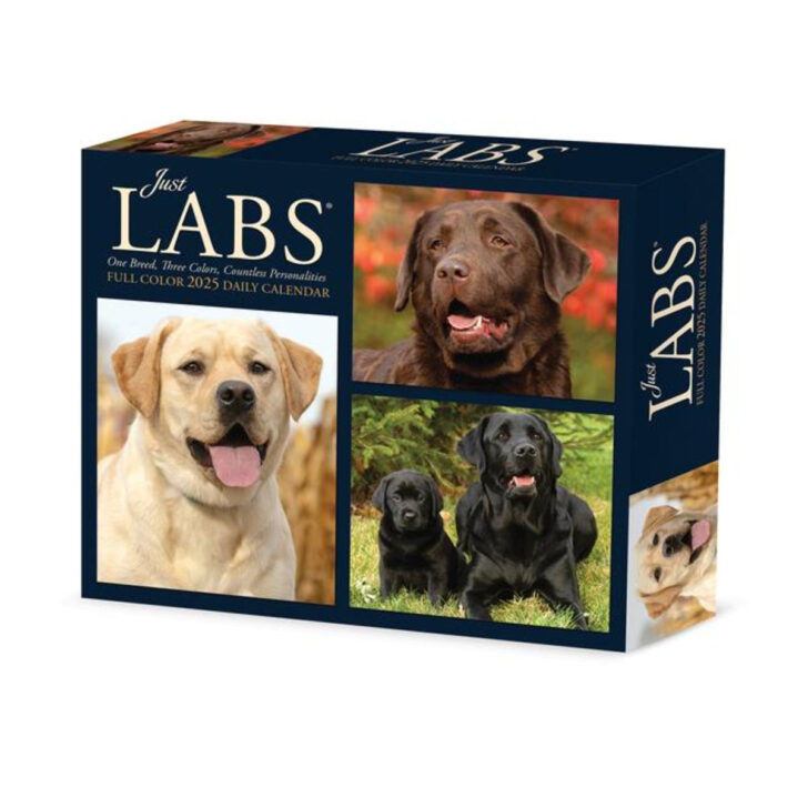 July 2025 Calendar Labs | Calendar 2025