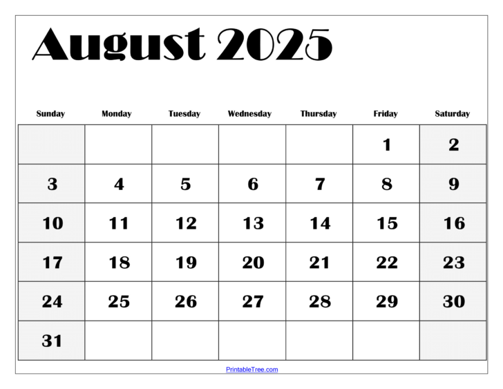August 2025 Blank Calendar Printable | Calendar 2025