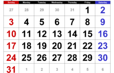 August 2025 Calendar | Templates For Pdf, Excel And Word |  Calendar 2025