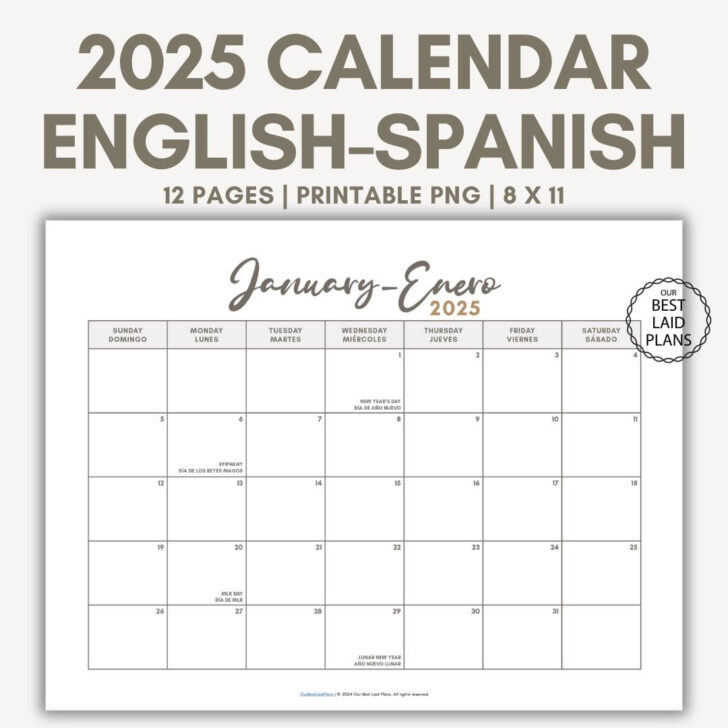 August 2025 Calendar in Spanish | Calendar 2025