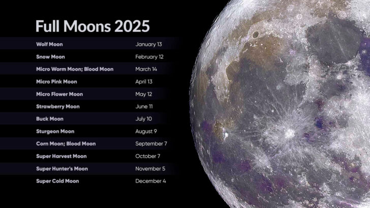 August 2025 Moon Calendar | Calendar 2025
