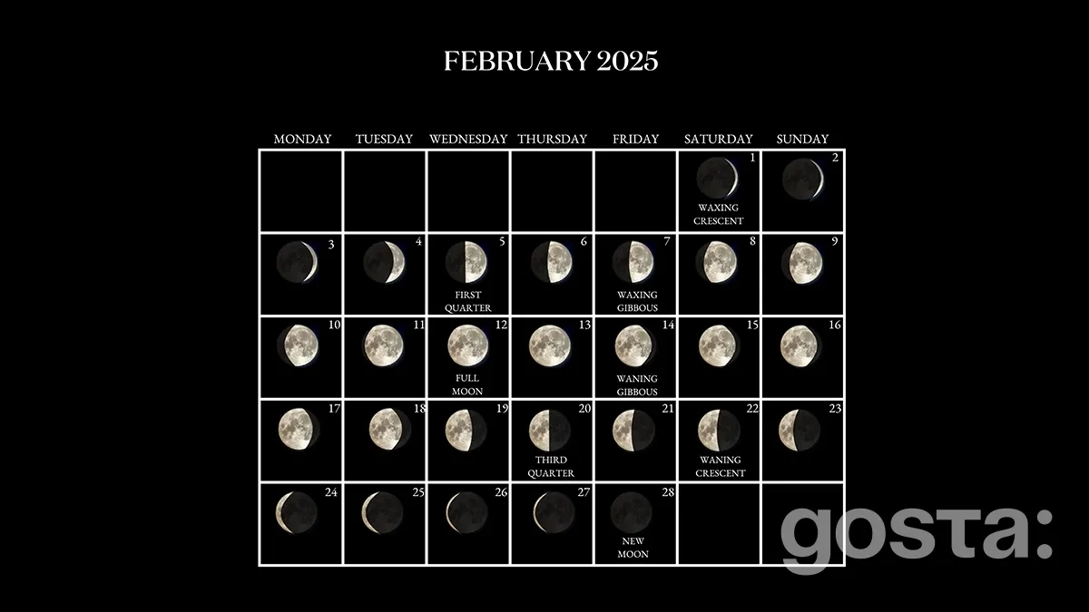 Lunar Calendar For February 2025: Favorable Days | Lunar Haircut Calendar August 2025
