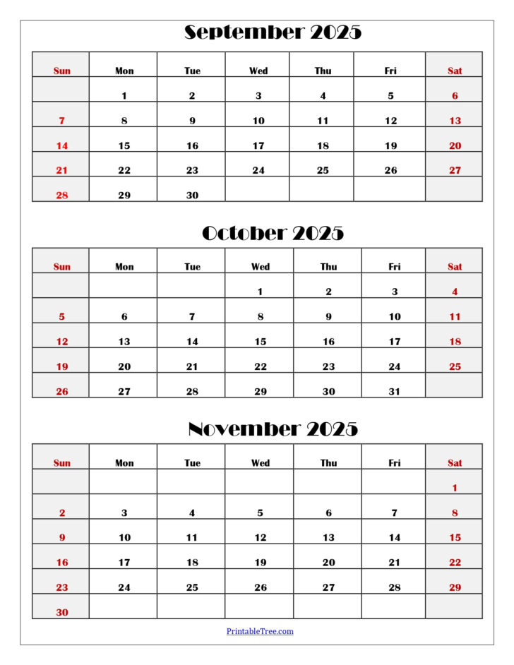 August September October November December 2025 Calendar | Calendar 2025
