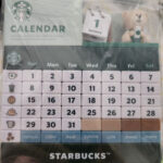 Starbucks Korea 2024 Bearista Calendar Block 25Th Anniversary Gift |  Calendar 2025